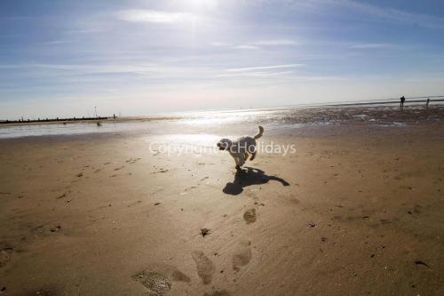 Gallery image of 6 Berth Caravan For Hire At Lees Caravan Park In Hunstanton Ref 13006L in Hunstanton