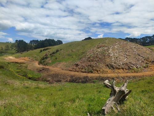 a dirt road on top of a grassy hill at Apartment 1 in Auckland