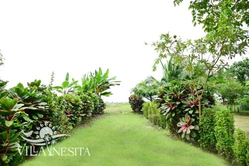a garden with green grass and trees and bushes at Villa Inesita in Panguí
