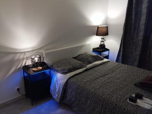 サナリー・シュル・メールにあるChez Stfのベッド、ナイトスタンド2台、ランプ2個を備えた寝室