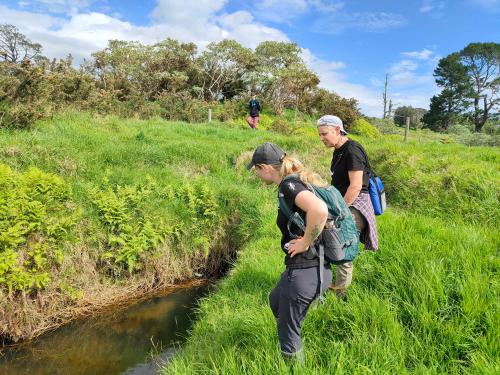 two people walking in the grass near a river at Apartment 4 in Auckland
