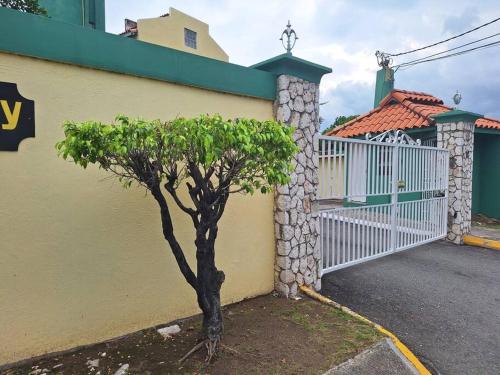 a tree in front of a house with a white gate at Chateau Central at Sunbury Apts in Kingston