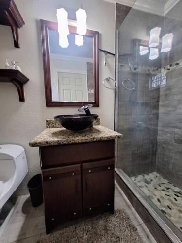 a bathroom with a sink and a shower at Chateau Central at Sunbury Apts in Kingston