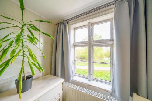 a plant sitting on a table next to a window at Alandblick Gasthaus in Wanzer