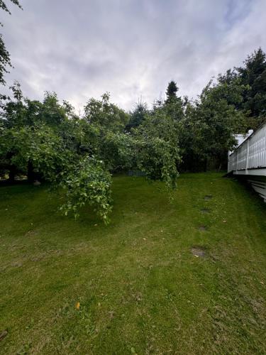 a group of apple trees in a yard at Sokkelleilighet på Sola in Sola