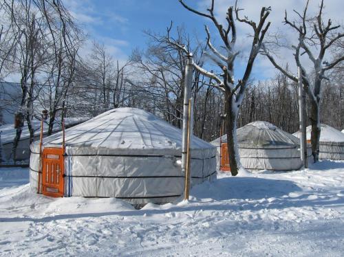 two y domes are covered in snow with trees at Dobogókő Jurtaszállás in Dobogoko