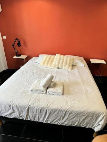 Grand Studio Centre Cannes