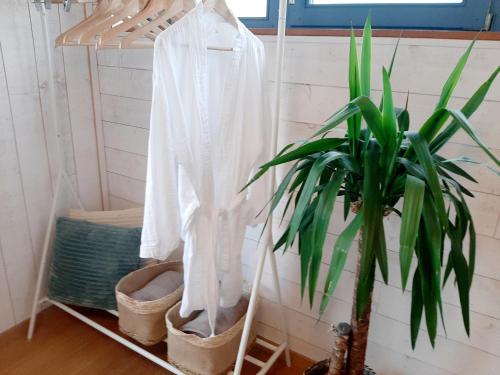 a white shirt hanging on a rack next to a plant at Nature Circuit Francorchamps in Stavelot
