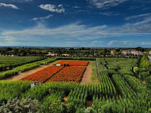 an overview of a farm with a field of crops at Appartamento La Rondine in Pignataro Maggiore