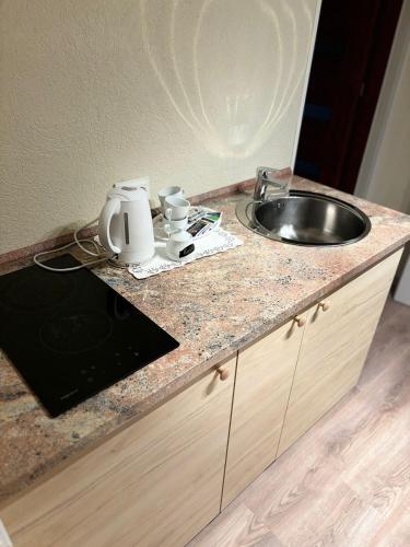 a kitchen counter with a sink and a sink at Landhotel Traube in Baden-Baden