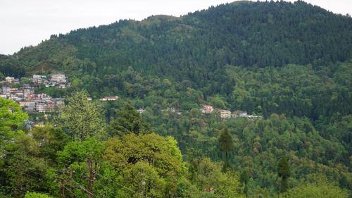 a view of a mountain with houses and trees at Tranquil Retreat Homestay in Ghum