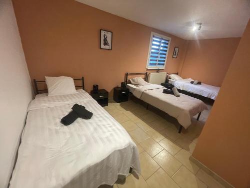 a room with three beds and a window at Résidence iguanodon Maria in Bernissart