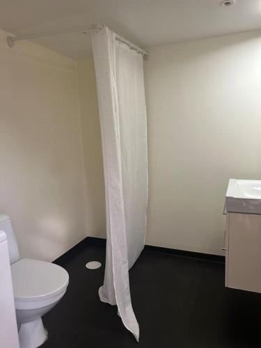 a bathroom with a toilet and a shower curtain at Privat och lyxig in Landvetter