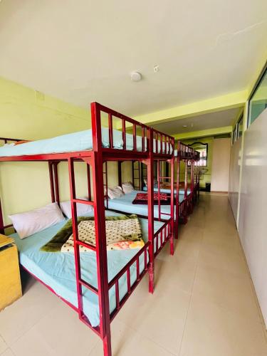 a group of bunk beds in a room at Violet Residency Ooty in Ooty