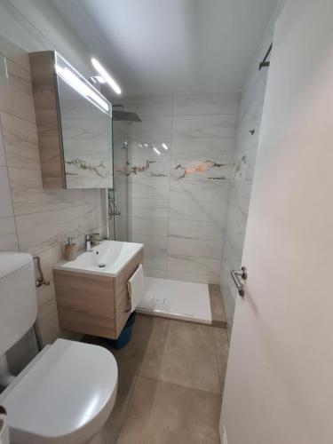 a bathroom with a toilet and a sink and a shower at Appartement AquaQuelle in Bad Füssing
