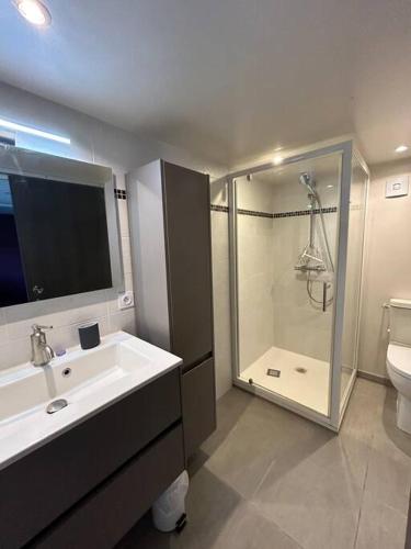 une salle de bain avec un lavabo, une douche et des toilettes dans l'établissement Le chalet sous les arbres, à Chambray-lès-Tours