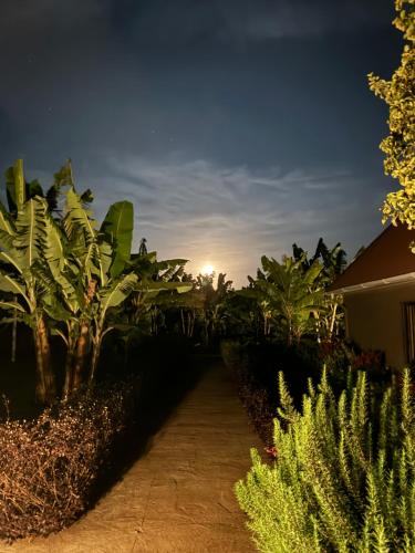 a walkway in a garden at night at Heart and Soul Lodge in Karatu