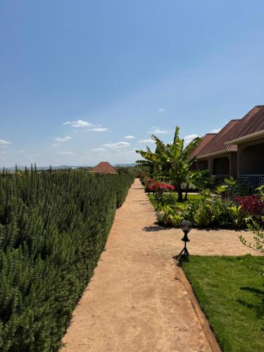a dirt path through a field of plants at Heart and Soul Lodge in Karatu