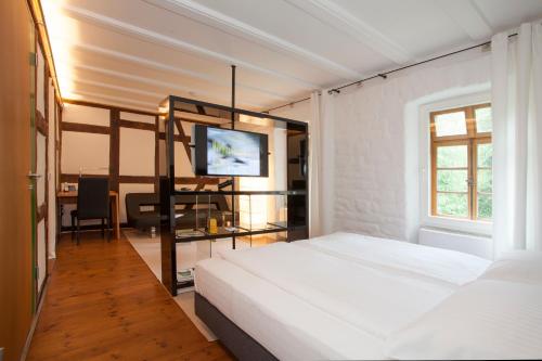 a bedroom with a bunk bed and a television in it at Mühle am Schlossberg in Wartenberg-Rohrbach