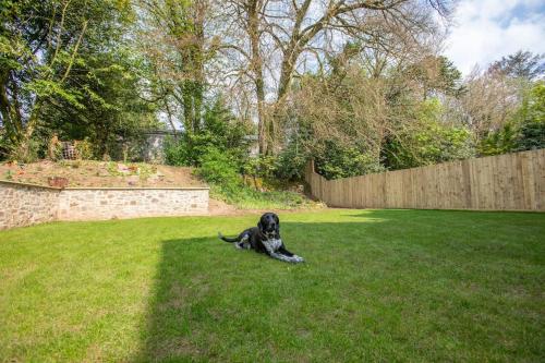 a dog laying on the grass in a yard at Northleigh in Chulmleigh
