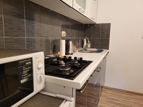 Gambar di galeri bagi Apartment & Room TOMA di Smoljanac