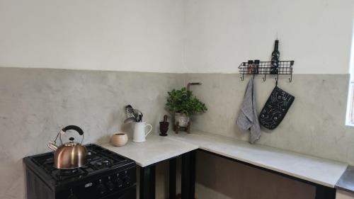 Kuchyň nebo kuchyňský kout v ubytování Country Cottage