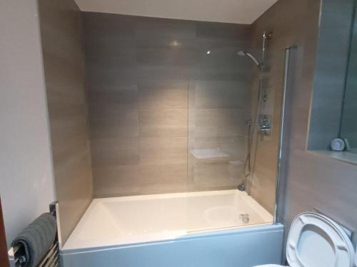 a bathroom with a shower and a toilet at Broad St 1-Bed Sleeps 2 with Free Parking in Birmingham