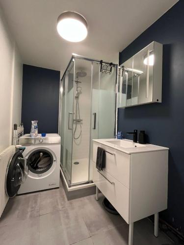 une salle de bain avec une machine à laver et un lave-linge dans l'établissement Halle aux Blés- Appartement au Centre Historique, à Bourges