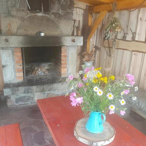 a vase of flowers on a table with a fireplace at Ubytování ve Mlýně in Kladenské Rovné