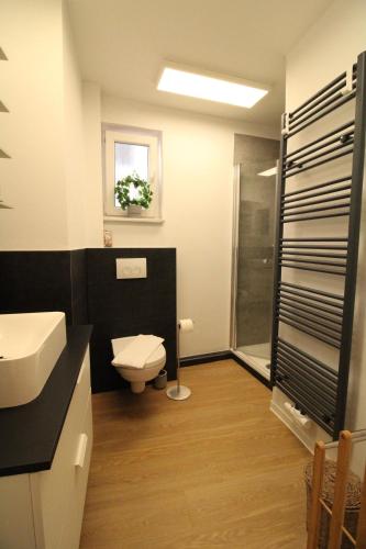 a bathroom with a toilet and a sink and a shower at La Bella Vita in Emden