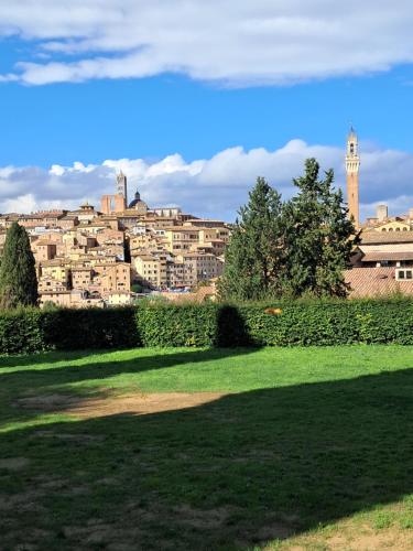 a view of a city from a park with a city at Hotel Minerva in Siena