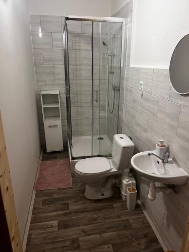 a bathroom with a shower and a toilet and a sink at Restaurace a penzion Vlčí jáma in Horní Blatná