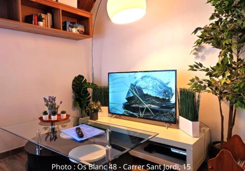 a computer monitor on a desk in a room at Duplex Holidays Andorra in Pas de la Casa