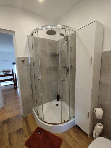a shower with a glass door in a bathroom at Urocze Apartamenty in Cięcina
