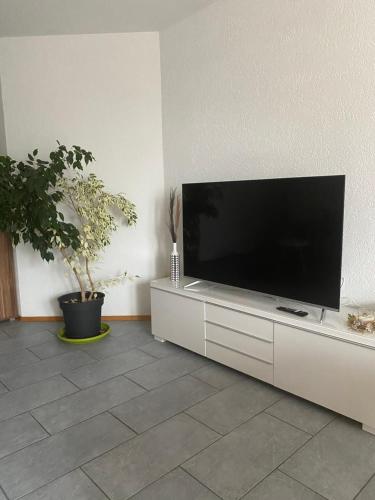 a flat screen tv sitting on top of a white cabinet at Gemütliche, sonnendurchflutete Ferienwohnung in Bodenseenähe am Säntisblick in Herdwangen-Schönach