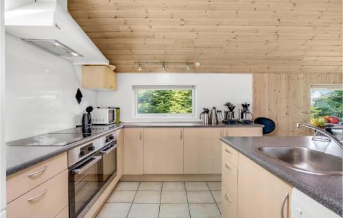 Dapur atau dapur kecil di Amazing Home In Idestrup With Sauna