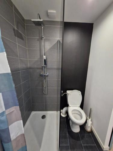 une petite salle de bain avec toilettes et douche dans l'établissement Canada 6, à Valenciennes