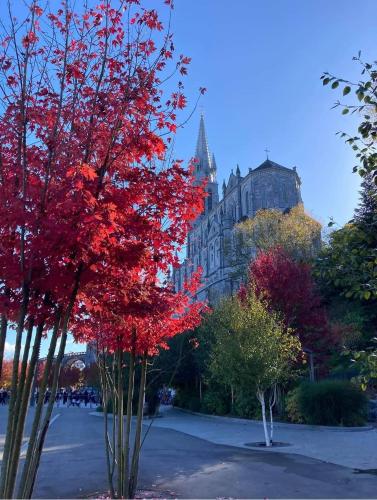 a tree with red leaves in front of a building at Hôtel La Source in Lourdes