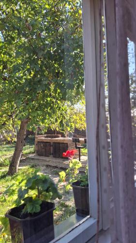 a window view of a garden with potted plants at Apartmani Komoč in Novi Bečej