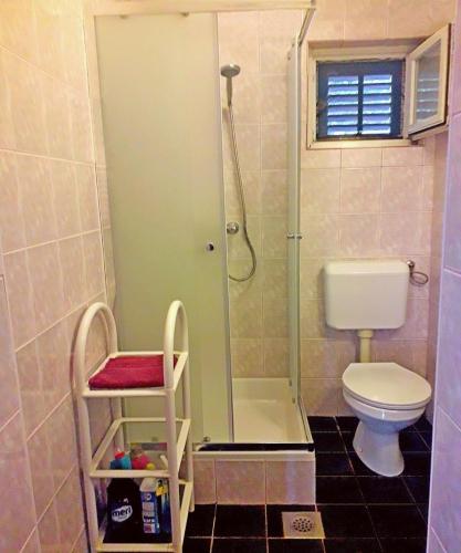 a bathroom with a shower with a toilet and a sink at Holiday House Vis Pavic in Vis
