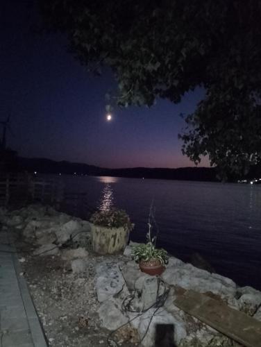 a full moon over a body of water at night at Vila Milica in Kladovo