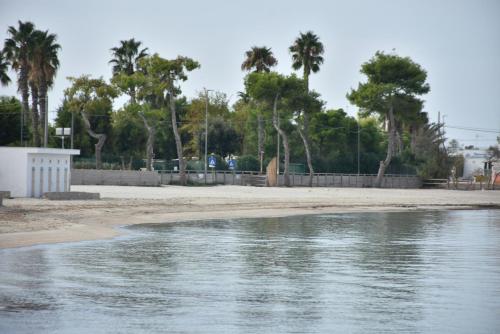 a beach with palm trees and the water at Hotel Villa del Sole in Porto Cesareo