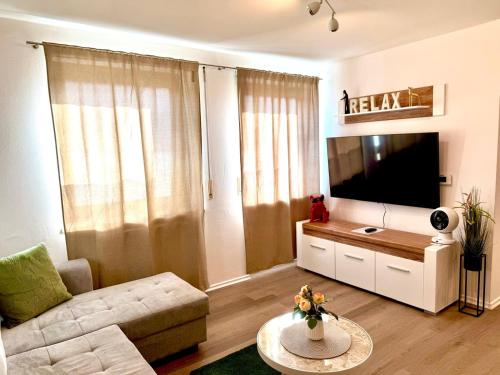 TV a/nebo společenská místnost v ubytování Ferienappartment in zentraler Lage Passau