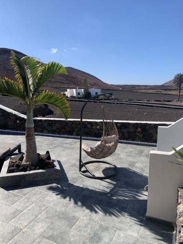 a hammock sitting next to a palm tree on a patio at Finca Marisa in Tinajo