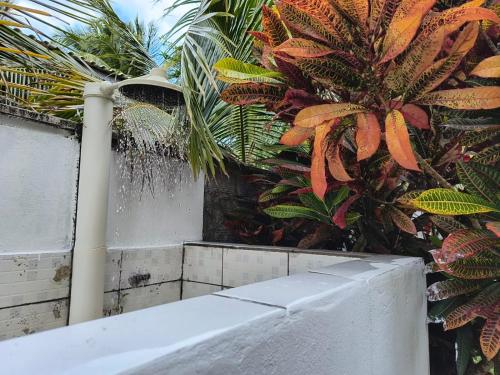 Taman di luar Casa Orí Ayô