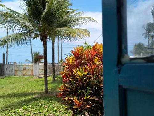 Taman di luar Casa Orí Ayô