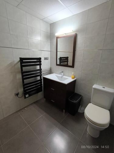 a bathroom with a toilet and a sink and a mirror at La Barcassa de Deltebre in Deltebre
