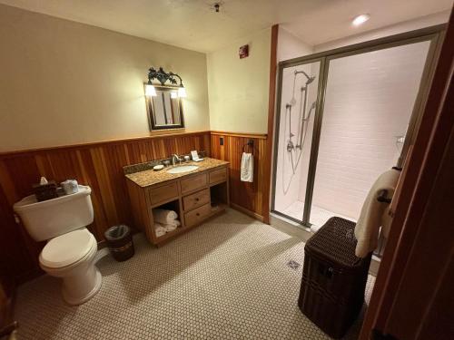 a bathroom with a toilet and a sink and a shower at Whiteface Lodge in Whiteface