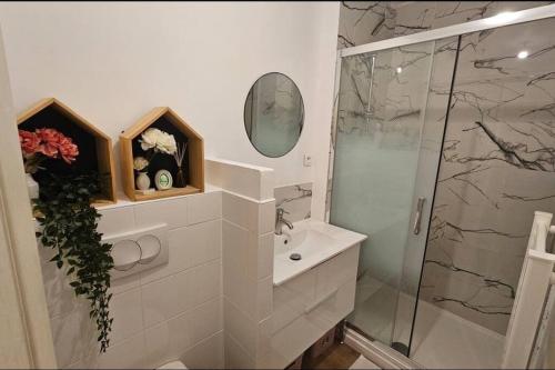 une salle de bain avec une douche, un lavabo et un miroir dans l'établissement Résidence des 4 mares, à Amfreville-la-Mi-Voie