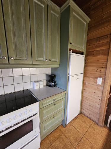 a kitchen with green cabinets and a white refrigerator at Private room - 1 in a luxury villa CHALET STYLE in Oslo